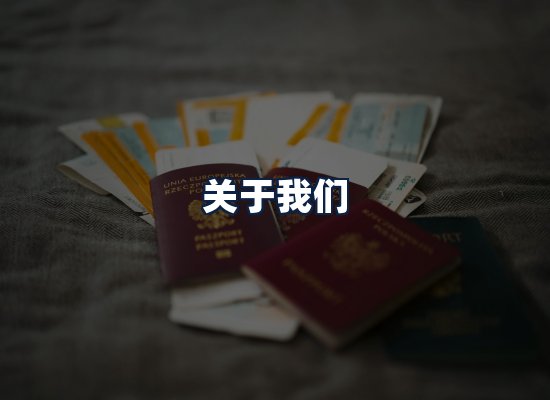 关于我们